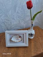 Handgemaakt Oesters schelpen, Minder dan 50 cm, Nieuw, Ophalen of Verzenden, Minder dan 50 cm