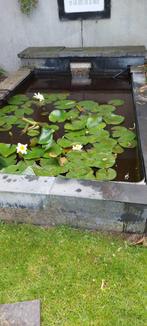 Prachtige vijver met pomp en vissen!, Tuin en Terras, Vijvers, Ophalen, Zo goed als nieuw
