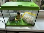 Aquarium met spongebob etc, Dieren en Toebehoren, Vissen | Aquaria en Toebehoren, Ophalen of Verzenden, Zo goed als nieuw, Leeg aquarium