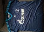 Huntelaar en Raul voetbalshirt schalke, Sport en Fitness, Voetbal, Ophalen of Verzenden, Zo goed als nieuw, Shirt