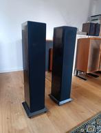 Elipson Isis Luidsprekers - Topkwaliteit, Audio, Tv en Foto, Luidsprekers, Overige merken, Gebruikt, Ophalen of Verzenden, 120 watt of meer