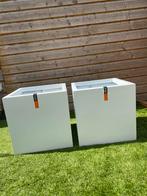 Vierkante bloembak wit 50 x 50 Capi, Tuin en Terras, Bloembakken en Plantenbakken, Ophalen, Kunststof, Minder dan 60 cm, Vierkant