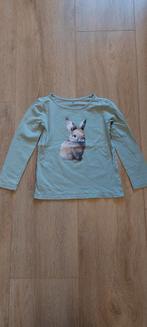Shirt met lange mouw maat 110 - 116, Kinderen en Baby's, Kinderkleding | Maat 110, Ophalen, Gebruikt, Meisje, H&M