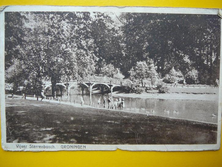 Groningen.  Vijver Sterrenbosch., Verzamelen, Ansichtkaarten | Nederland, Gelopen, Groningen, 1920 tot 1940, Ophalen of Verzenden