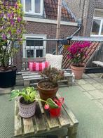 Tuintafel pallet geïmpregneerd grenenhout, Ophalen, Gebruikt, Rechthoekig, Hout