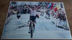20x30cm foto originele handtekening Mathieu van der Poel, Verzamelen, Ophalen of Verzenden, Shirt