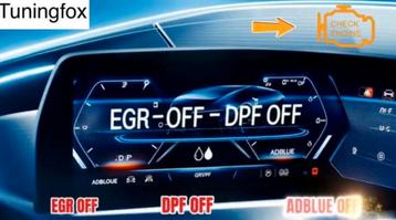 EGR OFF Routfilter OFF AddBlue OFF DTC off chiptuning beschikbaar voor biedingen
