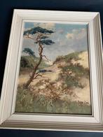 Schilderij met Boom - 39x49 cm peter cox, Antiek en Kunst, Kunst | Schilderijen | Klassiek, Ophalen