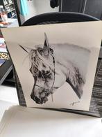 posters, paarden, Ophalen of Verzenden, Zo goed als nieuw, A1 t/m A3, Dier of Natuur