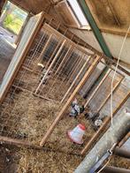 Kippenhok Kippenren gaaspanelen, Dieren en Toebehoren, Ophalen, Zo goed als nieuw, Kippenhok of Kippenren