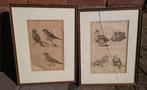 Frederick de Wit (1629-1706) Twee gravures uit 1643, vogels, Antiek en Kunst, Ophalen of Verzenden