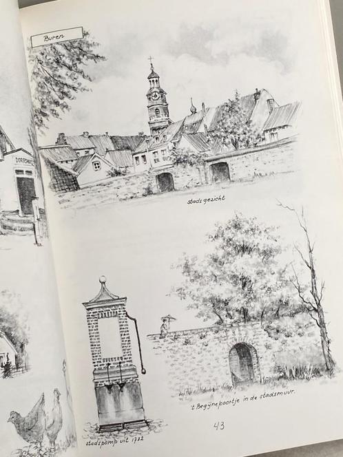 De Betuwe, land tussen rivieren (1992), Boeken, Geschiedenis | Stad en Regio, Zo goed als nieuw, 20e eeuw of later, Ophalen of Verzenden