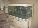 aquarium, Dieren en Toebehoren, Vissen | Aquaria en Toebehoren, Ophalen, Gebruikt, Leeg aquarium