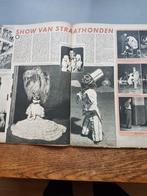 Circus Strassburger/Carré/ hondennummer/ Kath. Illustr. 1951, Ophalen of Verzenden, Gebruikt