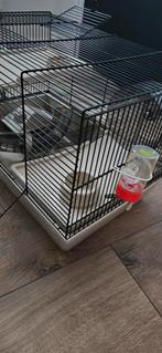 Hamsterkooi, Ophalen, Zo goed als nieuw