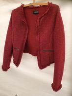 Bordeaux rood vest van JAZLYN, Jazlyn, Maat 42/44 (L), Nieuw, Ophalen of Verzenden