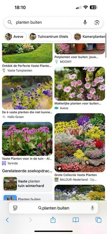 Opzoek naar gratis planten beschikbaar voor biedingen