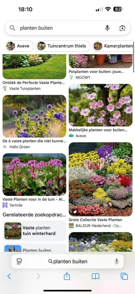 Opzoek naar gratis planten, Tuin en Terras, Planten | Bomen, Overige soorten, Volle zon, Ophalen of Verzenden
