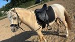 Bijrijder gezocht voor onze B pony, Dieren en Toebehoren, Paarden en Pony's | Overige Paardenspullen, Ophalen