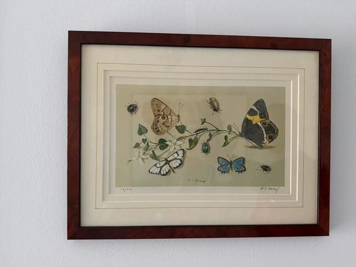 Litho 12/50 van Hans Verhoef, Antiek en Kunst, Kunst | Etsen en Gravures, Ophalen of Verzenden