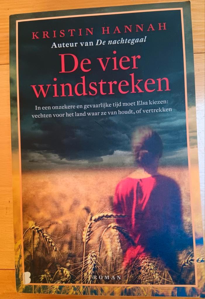 Kristin Hannah - De vier windstreken, Boeken, Literatuur, Zo goed als nieuw, Amerika, Ophalen of Verzenden