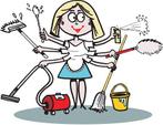 Gezocht: Schoonmaakster in Soesterberg (2x per maand), Vacatures, Vacatures | Schoonmaak en Facilitaire diensten, Overige vormen