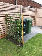 60x60 tegels 6 stuks. GRATIS, Ophalen, Zo goed als nieuw, Minder dan 5 m², Beton