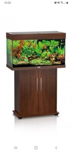 Aquarium met meubel, Dieren en Toebehoren, Gebruikt, Ophalen, Leeg aquarium