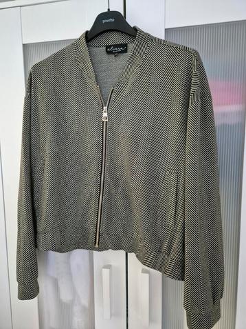 Jasje van Elvira  beschikbaar voor biedingen