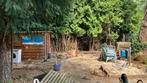Tuin onkruid vrij maken, snoeien 250 m2