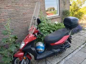 Sym orbit geel kenteken beschikbaar voor biedingen