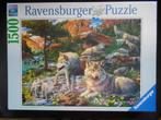 Ravensburger wolven Puzzel 165988 Wolfroedel 1500 Stukjes, Ophalen, 500 t/m 1500 stukjes, Nieuw, Legpuzzel