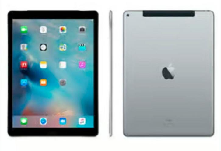 ipad pro 1e generatie 12,9 inch., Computers en Software, Apple iPads, Apple iPad, Ophalen