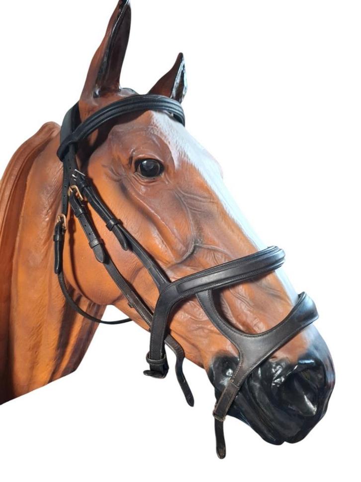 Hoofdstel dyon  dobert pvc hoofdstel prestige neusriem, Dieren en Toebehoren, Paarden en Pony's | Hoofdstellen en Tuigage, Zo goed als nieuw