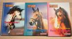 Heartland paardenboek, Boeken, Kinderboeken | Jeugd | 13 jaar en ouder, Ophalen of Verzenden, Zo goed als nieuw