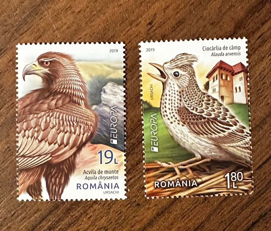 Roemenië 2019 Vogels Postzegels - Postfris, Ophalen of Verzenden, Overige landen, Postfris