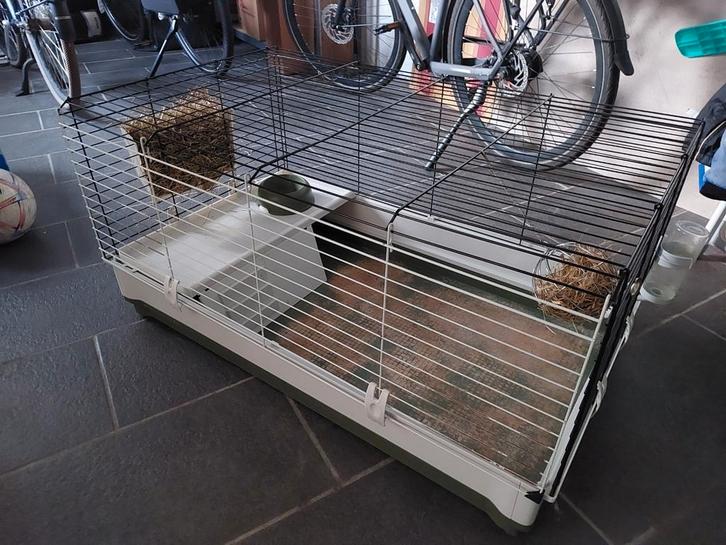 Kooi voor konijn., Dieren en Toebehoren, Knaagdieren en Konijnen | Hokken en Kooien, Gebruikt, Kooi, Minder dan 60 cm, 75 tot 110 cm