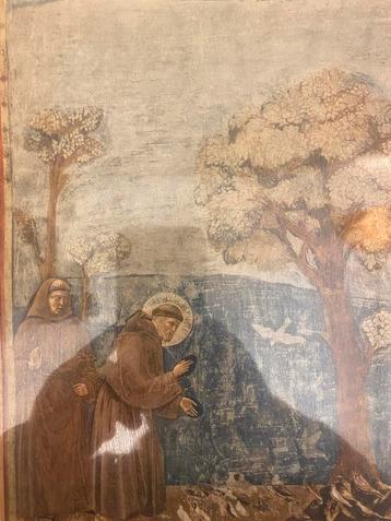 San Francesco Lithografie - 41 cm x 33 cm beschikbaar voor biedingen