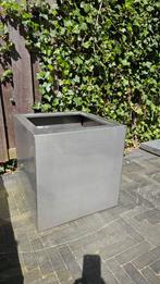 RVS bloem/plantenbak, afmetingen 50x50x50 cm, Tuin en Terras, Ophalen, Zo goed als nieuw, Minder dan 60 cm, Tuin