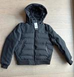 Cars jas maat 140 NIEUW MET PRIJSKAARTJE!, Nieuw, Ophalen of Verzenden, Cars jeans, Jongen