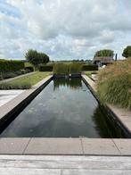 Vijverbak voor Zwemvijver/Koi, Ophalen, Gebruikt, Vijverbak