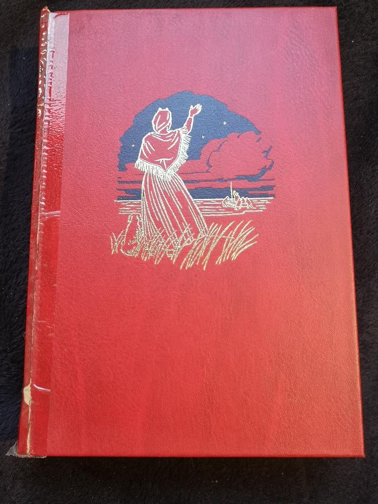 Kathinka Lannoy, De bruid van Scheveningen, Boeken, Ophalen of Verzenden, Gelezen