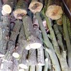 Haardhout, Tuin en Terras, Haardhout, Minder dan 3 m³, Ophalen