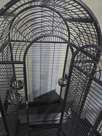 Vogel kooi beschikbaar voor biedingen