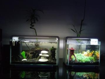Aqua Scaping Home 15 (€60) beschikbaar voor biedingen