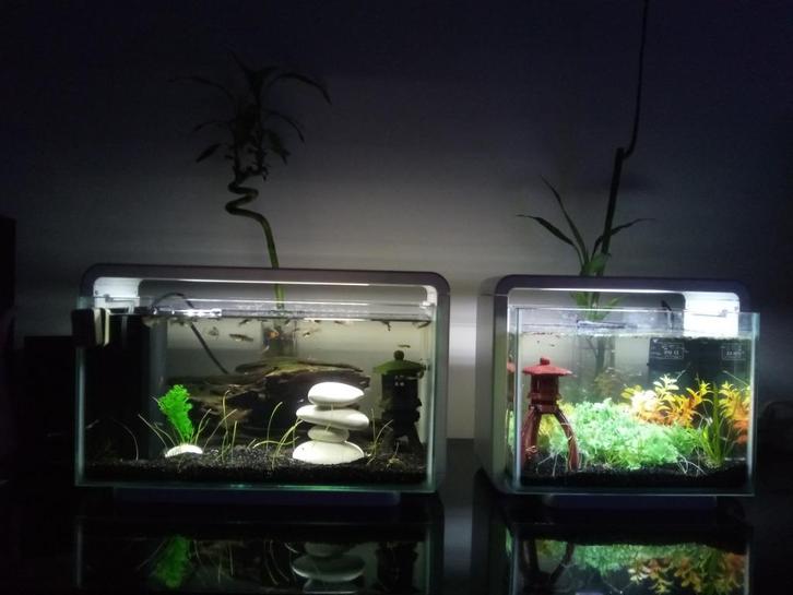 Aqua Scaping Home 25, Dieren en Toebehoren, Vissen | Aquaria en Toebehoren, Gebruikt, Leeg aquarium, Ophalen