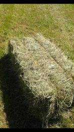 Hooipakjes hooibalen kleine pakjes paardenhooi hooipakken, Ophalen, Vee