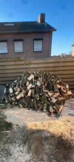 Haardhout beuken, Tuin en Terras, 3 tot 6 m³, Ophalen of Verzenden, Beukenhout