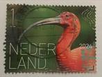 Vogels van Bonaire, rode Ibis, Verzenden, Gestempeld