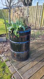 rond olievat als plantenbak of vuurkorf te gebruiken, Ophalen, Gebruikt, Rond, Minder dan 60 cm
